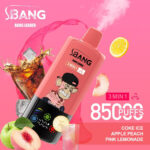 Bang Leader 85,000 口 3 合 1 – 一次性电子烟，支持 Type-C 充电，拥有独特口味 - obrazek 6