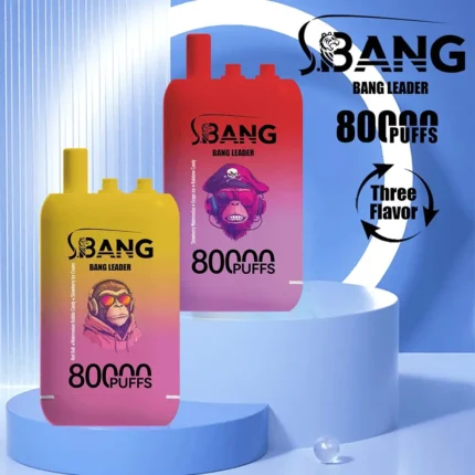 Bang Leader 80000 口 - 批发一次性电子烟,性能卓越,口味丰富,持久耐用!
