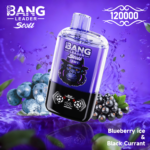 Bang Leader Stoll 120K 一次性电子烟 – 两种口味 - 图片 14