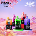 Bang Leader Stoll 120K 一次性电子烟 – 两种口味