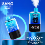 Bang Leader Stoll 120K 一次性电子烟 – 两种口味 - 图片 3