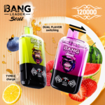 Bang Leader Stoll 120K 一次性电子烟 – 两种口味 - 图片 2