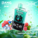 Bang Leader Stoll 120K 一次性电子烟 – 两种口味 - 图片 11