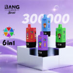 Bang Leader 30万口一次性电子烟 6合1