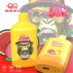QQ Bang 50000口 - 双网口一次性电子烟，带USB-C接口